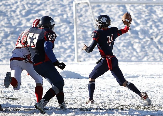 她在比赛中 她在比赛中