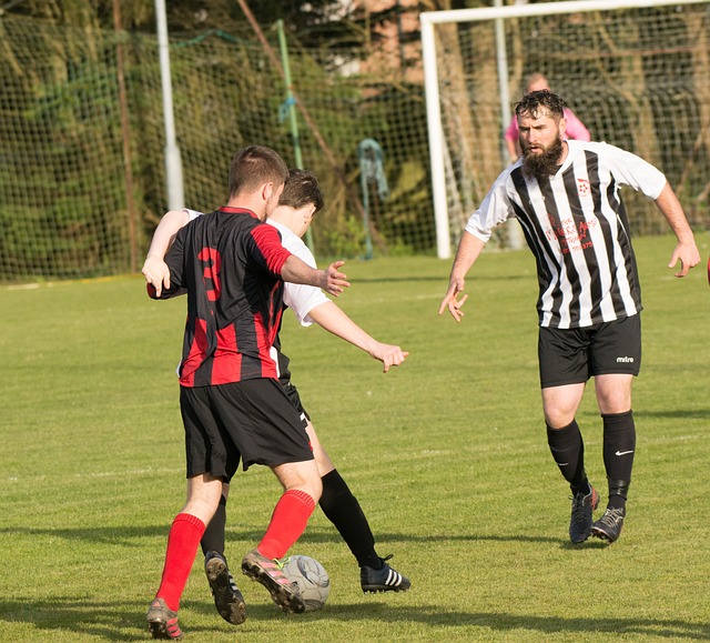 阿尔特塔选 阿尔特塔选