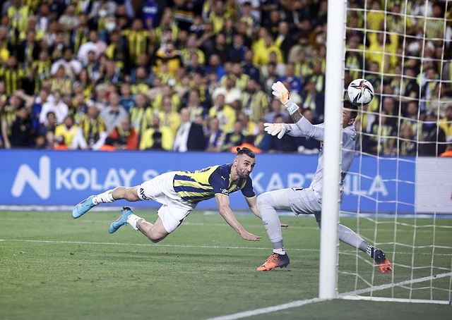 后并未掩盖 后并未掩盖